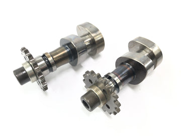 BMW R 850 C 259C [1999] - Camshafts control shafts - 0