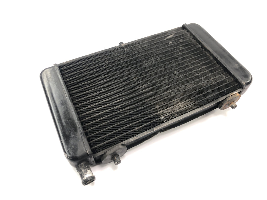 Aprilia RS 125 Extrema [1994] - Radiator water cooler radiator cooling system