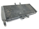 TRIUMPH DAYTONA 955I T595 [1998] - Radiator water cooler-1
