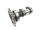 Suzuki RM Z 250 RJ41A [2007] - Nockenwelle Einlassnockenwelle-2