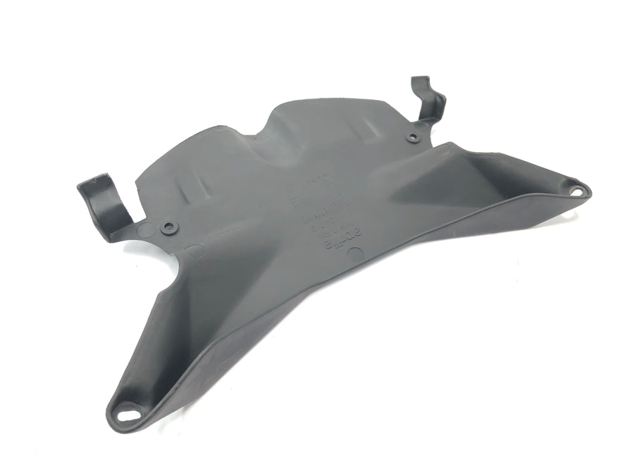 Aprilia RSV 1000 RP Mille [2001] - Cockpit fairing, speedometer fairing