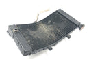 Honda CBR 900 RR Fireblade SC33 [2000] - Radiator water cooler cooling radiator-6