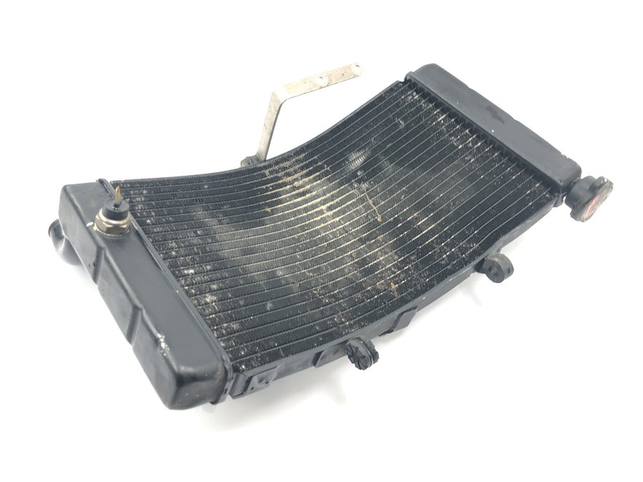 Honda CBR 900 RR Fireblade SC33 [2000] - Radiator water cooler cooling radiator