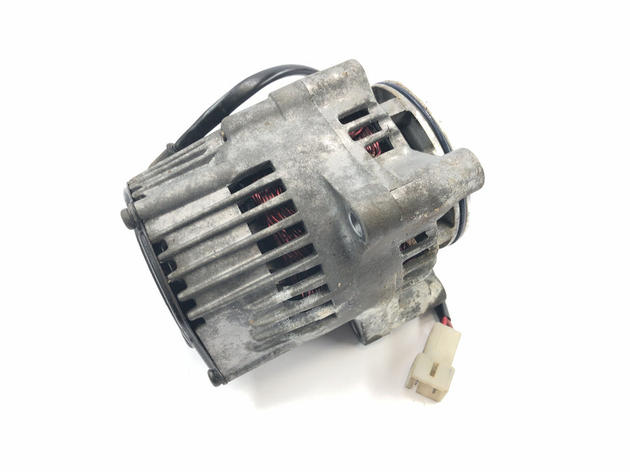 Yamaha GTS 1000 4FV [1997] - Alternator
