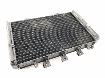 Triumph Thunderbird 900 T309RT [1996] - Water Cooler Radiator