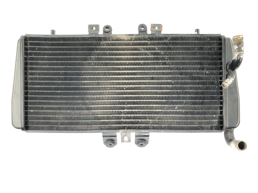TRIUMPH DAYTONA 955I T595 [1998] - Radiator water cooler