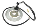Yamaha XJR 1300 RP06 [2002] - Pickup alternator stator plate control plate-4