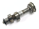 Moto Guzzi Stelvio 1200 8V [2016] - Camshaft Camshaft shaft left-1