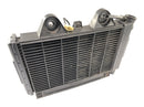 Triumph Daytona 900 T300 [1993] - cool water cooler motor cooler at the front-1