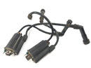 Honda CB 750 RC42 [1996] - ignition coil set with spark plug plug-1