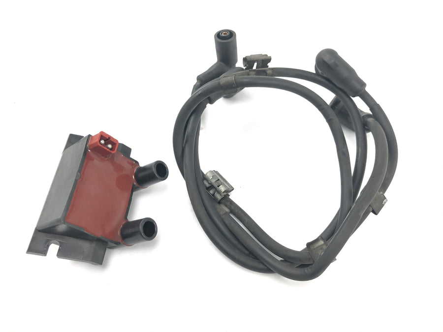 BMW R 1150 RS R22 [2003] - Ignition coil Ignition coil module with ignition cables ignition lines