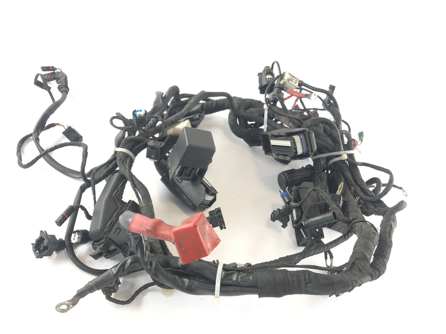 BMW R 1200 R [2007] - Wiring harness