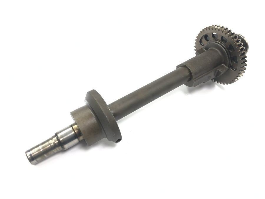 Triumph Tiger 955i 709EN [2003] - Balance shaft Balancer shaft Engine balance shaft