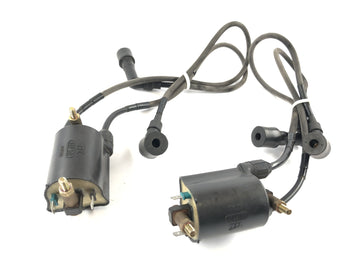 Kawasaki VN 1600 Mean Streak VNT60B [2005] - Ignition coil set pair with spark plug connector