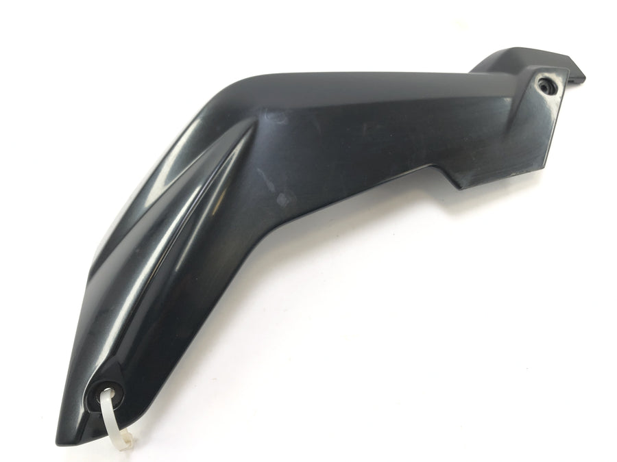 BMW K 1300 R K12S [2014] - Side panel right