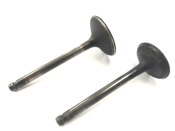Yamaha XT 500 1U6 [1981] - Valves Intake Valve Exhaust Valve Set - 0