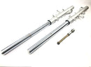 Triumph Tiger 955i 709EN [2003] - Fork telescopic fork front fork with axle-10