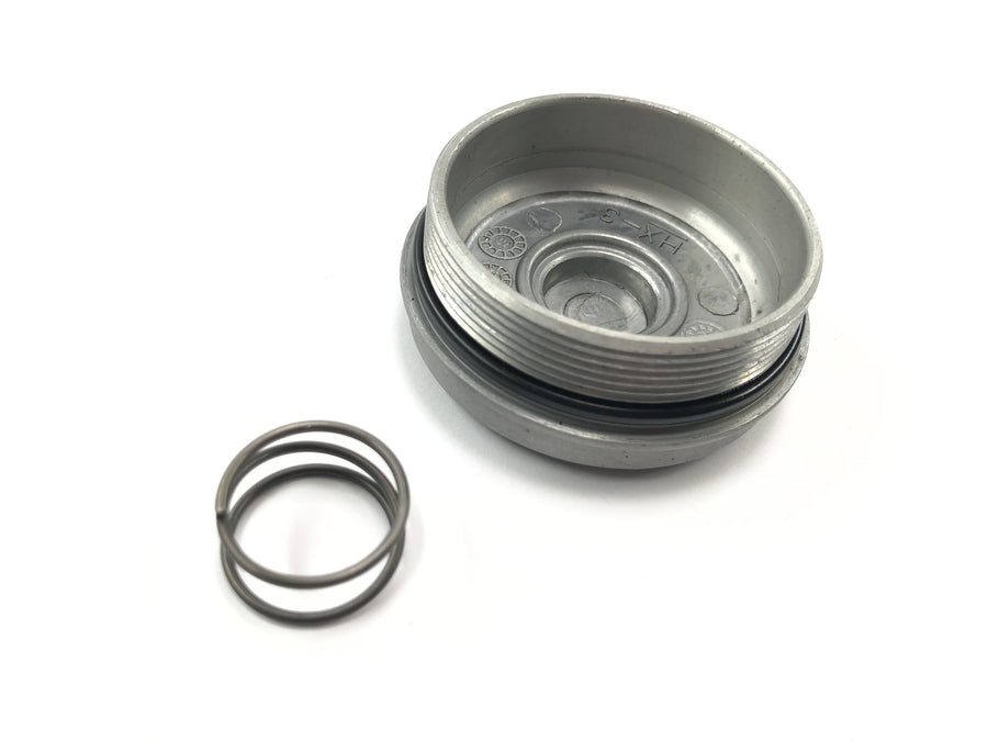 Aprilia RS 125 TW [2017] - Oil filter cover with spring cover oil filter