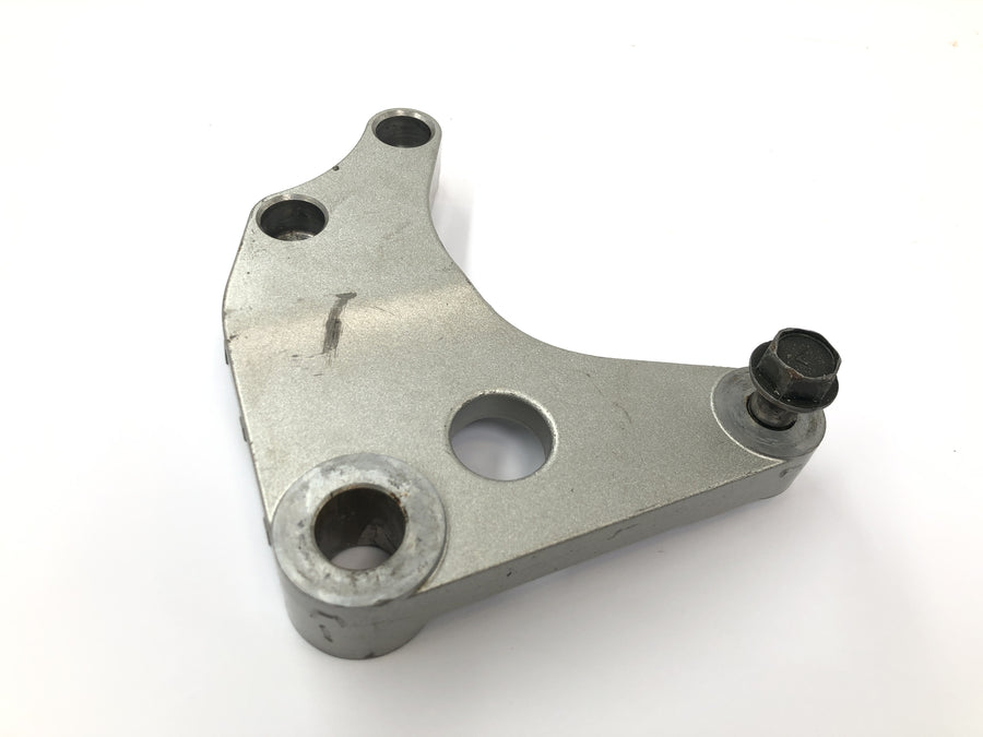 Kawasaki VN 1600 Classic VNT60A [2007] - Rear brake caliper holder for brake caliper mount