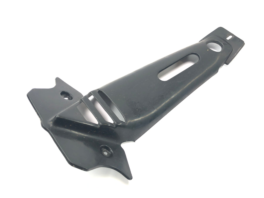Aprilia RSV 1000 RP Mille [2001] - Front frame fairing