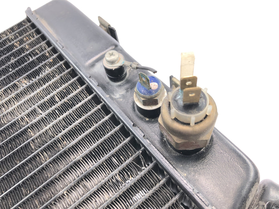 Yamaha GTS 1000 4FV [1997] - Radiator water cooler with temperature sensors