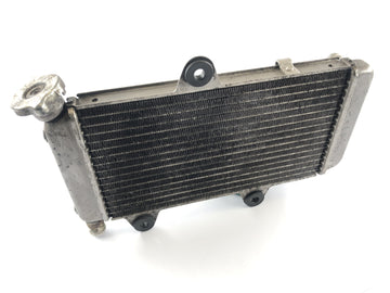 Yamaha XT 660 DM01 [2004] - cool water cooler
