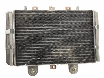 Triumph Thunderbird 900 T309RT [1996] - Water Cooler Radiator - 0