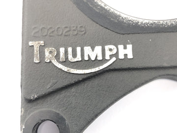 Triumph Speed Triple 1050 515NJ [2007] - Rear anchor plate - 0