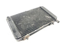Aprilia RS 125 Extrema [1994] - Radiator water cooler radiator cooling system-4