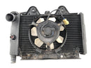 Triumph Daytona 900 T300 [1993] - cool water cooler motor cooler at the front-5
