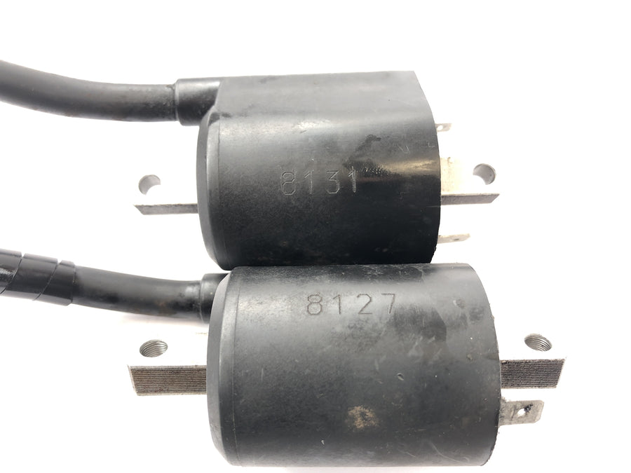 Yamaha XVS 650 Drag Star VM02 [1998] - Ignition coils with plug set pair