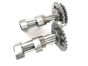 Aprilia RSV 1000 R [2004] - Camshaft camshaft set camshaft shaft rear cylinder - 0