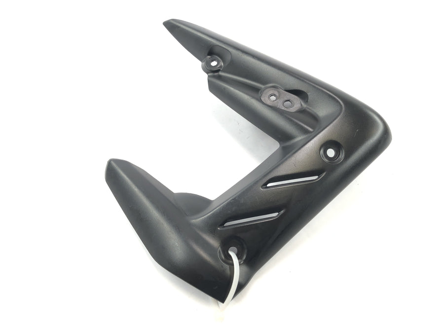 Triumph Street Triple R 675 D67LD [2010] - Page cladding Right