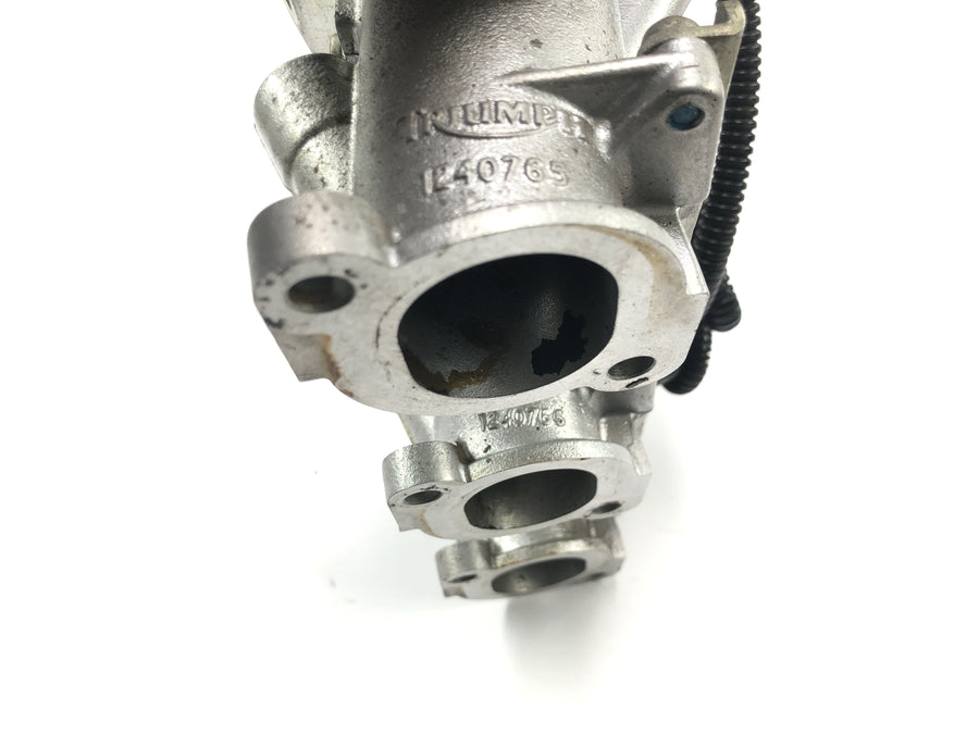Triumph Tiger 955i 709EN [2003] - Throttle body unit throttle