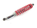 Yamaha YFM 350 Warrior 3GD [2003] - Shock absorber front strut-1