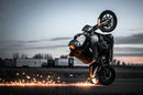 Harley-Davidson FXSBSE2 1800 Breakout CVO [2014] - Cubiq™ brake disc - picture 10