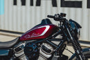 harley davidson nightster [CULT WERK] – Dash cover for Harley-3