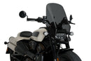 HARLEY DAVIDSON SPORTSTER S RH 1250 S [2024] – New Generation Touring – Tinted-7