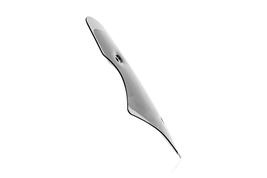 ducati multistrada v4 [WRS] – windshield