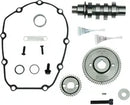 Harley-Davidson FLRT 1868 Freewheeler 114 [2021-2023] - 590G Nockenwellensatz für Zahnradantrieb – Bild 9