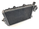 BMW K 100 [1984] - Water cooler radiator-1