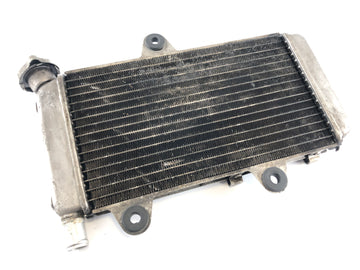 Yamaha XT 660 DM01 [2005] - Water cooler