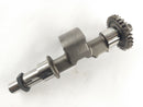 Aprilia RST 1000 Futura [2004] - compensation wave-2