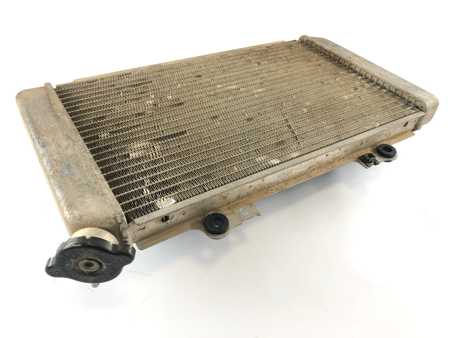 Yamaha Grizzly 660 AM03W [2003] - Radiator Water Cooler