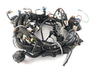Moto Guzzi Norge 1200 LP [2006] - Wiring harness-1