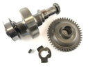 Yamaha YFM 350 Warrior 3GD [2003] - Balance shaft-2