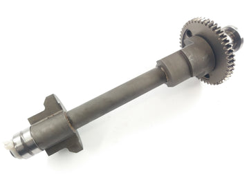 Triumph Speed ​​Triple T509 885i [1998] - Balance shaft - 0