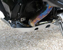 BMW R 1250 GS LC Rad [2019-2023] - Aluminium-Motorschutz 3 mm