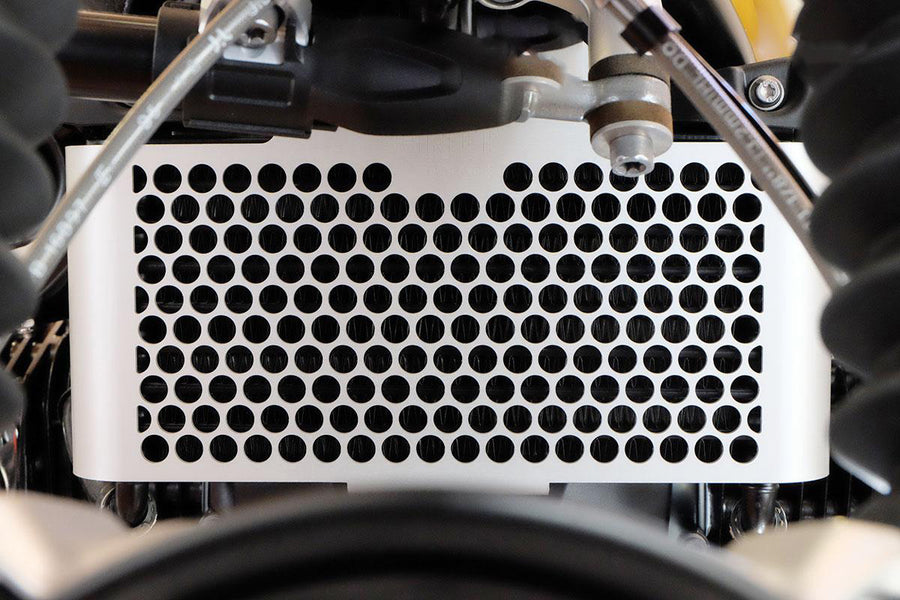 BMW R nineT 1200 Pure [2017-2023] - Kühlerschutz