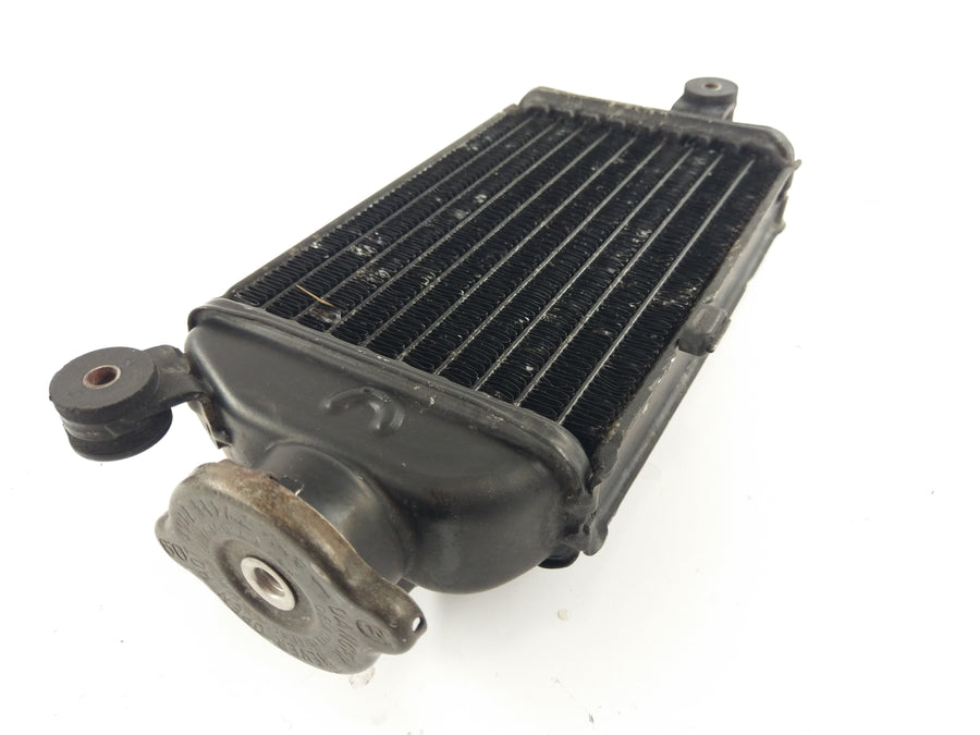 Yamaha DT 125 LC 10V [1982] - Radiator Water Cooler